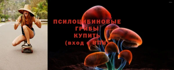 дурь Алзамай