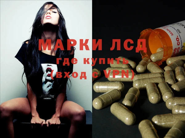 индика Абинск