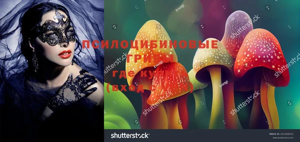 дурь Алексеевка