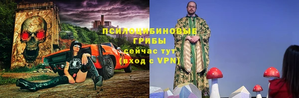 дурь Алзамай