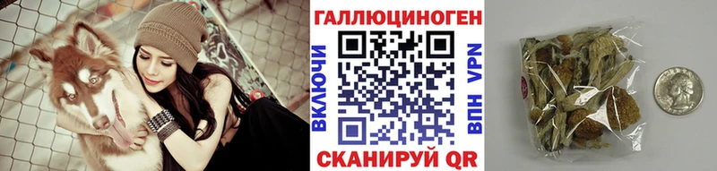 Галлюциногенные грибы Psilocybine cubensis  Пугачёв 