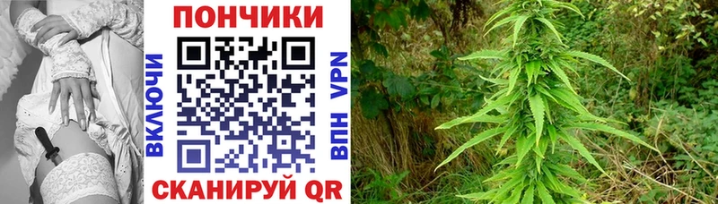 Бошки марихуана Amnesia Пугачёв